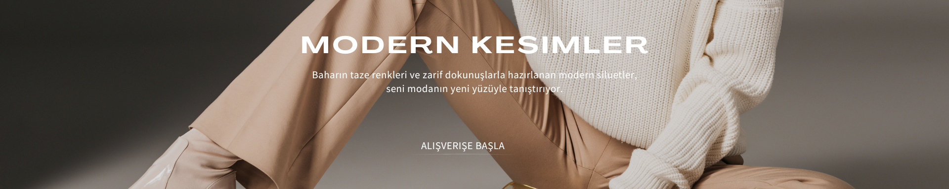 Promotional Banner 1